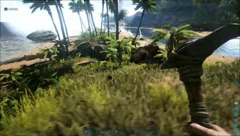 what is "to ark?"