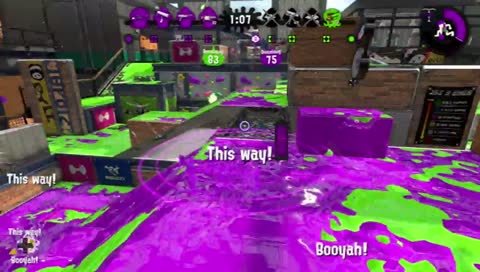 New Year, New Cephalopod