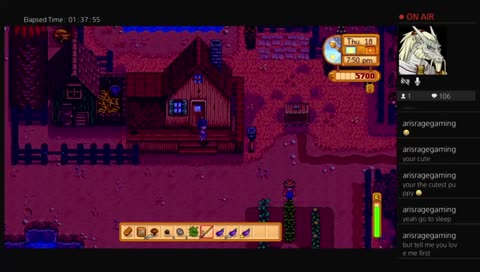 Playing stardew valley