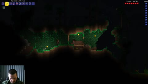 Ку-стрим, ПоЕ - дорога к 100-му на стд, Террария - эксперт мод, опыт нуба )