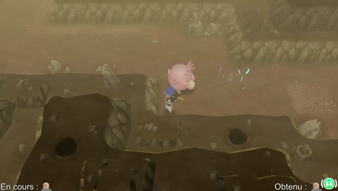 [FR] 01/01 : À la recherche d'un Taupe Shiny pour ce début d'année