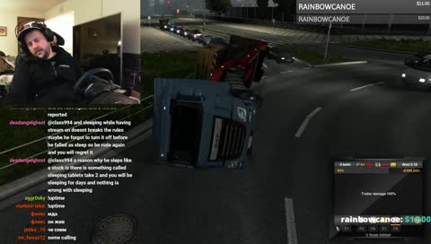 ASLEEP AT THE WHEEL - ETS2