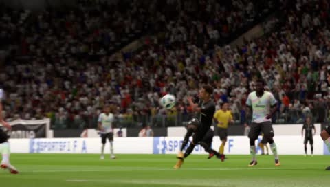 PELE IN A PACK!!!!!!!!