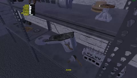 My Summer Car!