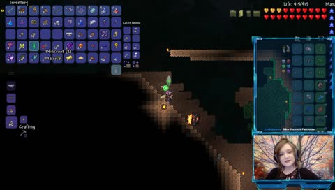 Terraria - The Vivid Wonderland
