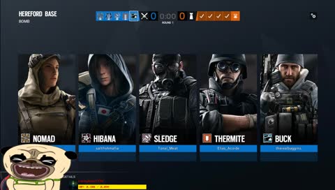 Rainbow 6 with friends #pugmunity