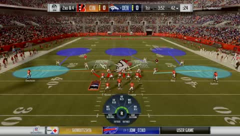 Falcons