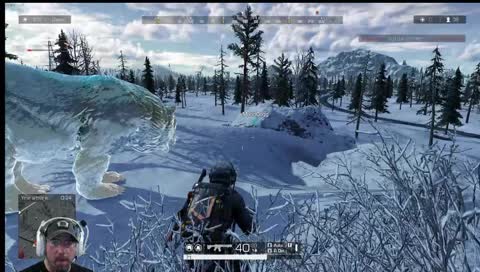 (PC) \ ring of elysium
noob
