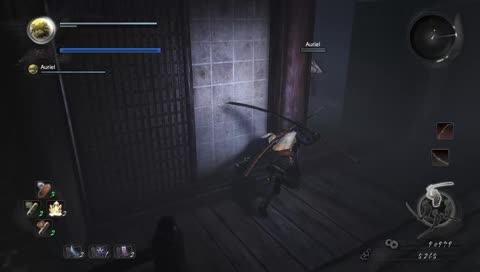Nioh | Co-op Edition Auriel & InVoid Condition