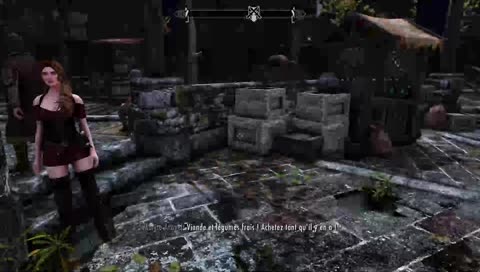 [FR] Skyrim mods graphiques et gameplay