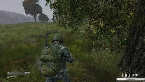 -1 \ Пустошка