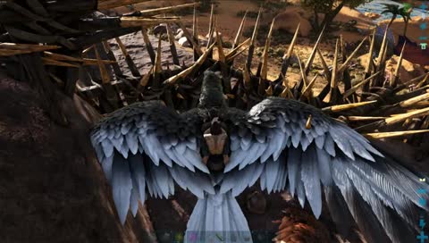 Einfach nur Chillen  
und das Neuer Jahr genissen