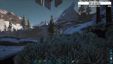 Predator vs Predator