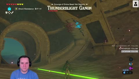 Thunderblight Ganon Deaded!