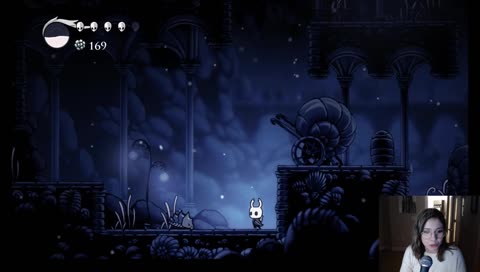Hollow Knight. Hollow Life. Please lower your expectations..