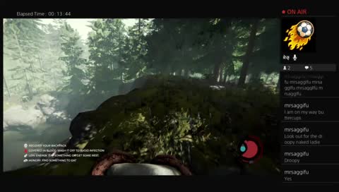 Scotto5512's Live The Forest