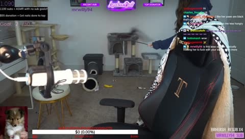 Raising money for new pup ^_^ ~ ASMR in 10 subs~  !sub !donate !puppy