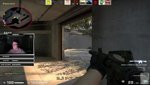 Puggin' not Druggin'