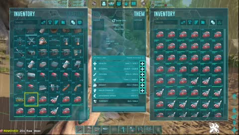 Ark