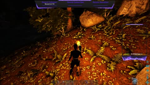 Day 2 Ark