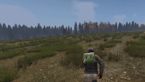 DAYZ