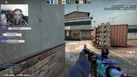 Pew Pew with Dino [ENG] #GSF