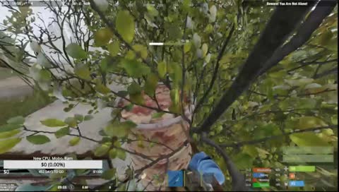 Testing Rust stream!!!!!