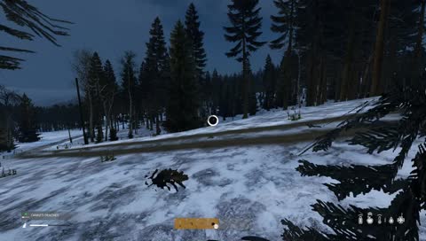 Where did they come from?