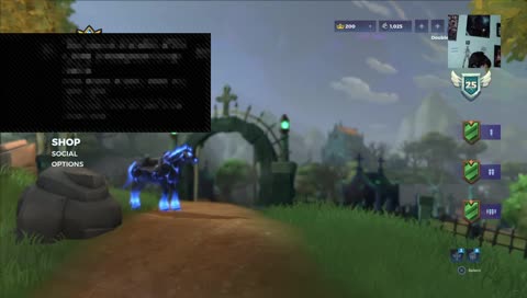 Relm Royale Ws