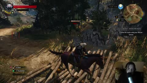 The Witcher 3: Where The Wild Things Are