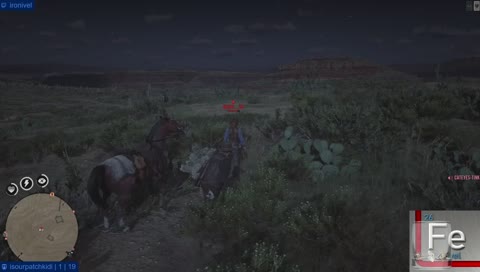 Decoy getting his fun time in