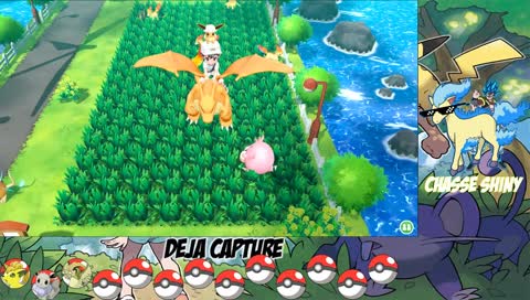 Pokemon Lets'go Evoli - Chasse Shiny - Ou es-tu Godnita ? :(