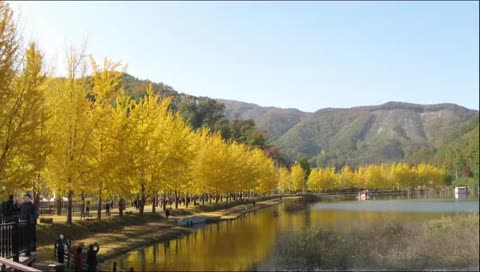 From South Korea with calming view. - The country of Pyungchang Olympic Games -  ( Old version collections. Channel "CalmingView" is new ! )