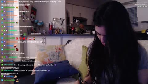 Study Stream! LETS LEARN <3 now with Kittens