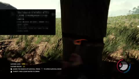 Bogan playing the forest