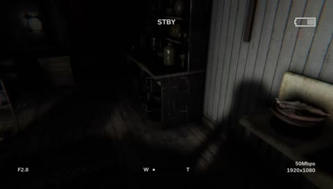 Outlast 2 bday stream