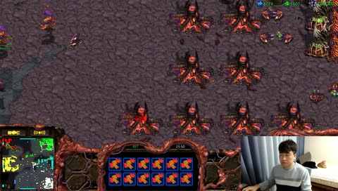 [깝도이] 스타 빨무 팀플 실시간