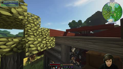 Gammelcraft