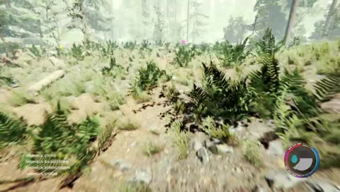 Ps4#/The Forest/freunde im wald suchen :D