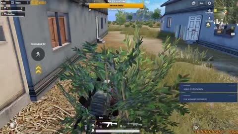 ИГРАЕМ И ОБЩАЕМСЯ. ЧАТ ЧИТАЮ