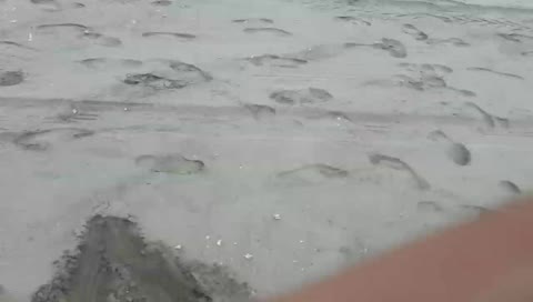 A LA ORDEN MI PANA XDXXDD