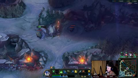 🔥Osynlig champion pool🔥