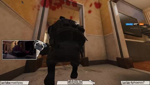 Qua in italia funziona tutto al contrario-     nonbestemmiopiù    'm literally back on twitch.    [   In america con 4PHOENIX7   ]