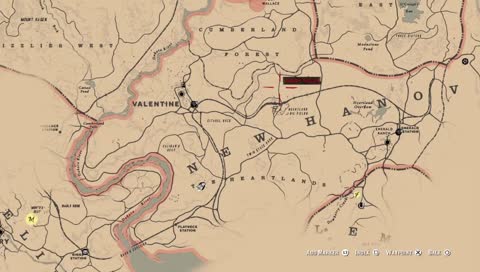 Red Dead 2! You Decide!No Spoilers!