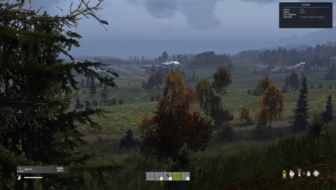IvyLive@DayZ