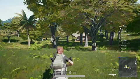 PUBG 初心者