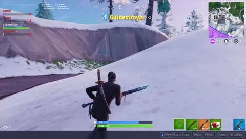 Fortnite with the boys
