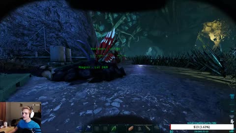 KONA OFFERED ME DICK PICS