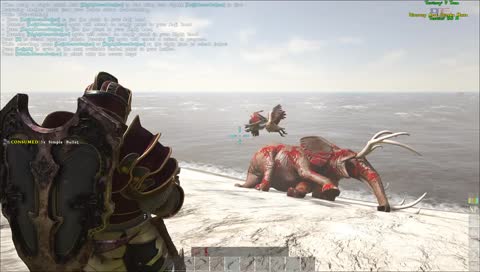 BFV YAY