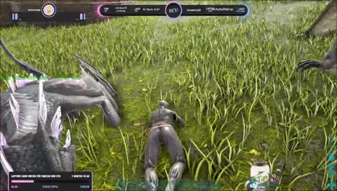 [GER] Frühschicht :D #pantsuarmy